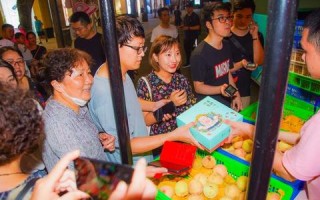推介客广告联盟，打造高效广告推广，助力企业营销新飞跃