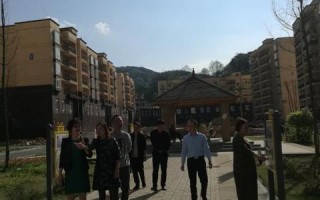 智信广告联盟，重塑数字营销新生态的先锋力量
