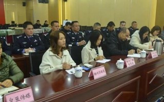 来豆传媒，重塑数字时代内容生态的创新先锋
