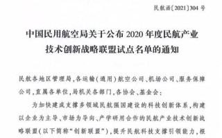 日付联盟，重塑支付行业的未来