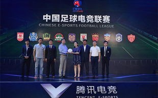弹窗广告联盟，互联网营销的新挑战与机遇