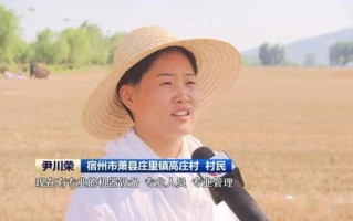 亿路发广告联盟，打造高效广告推广，助力企业飞速成长