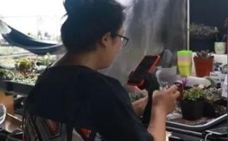 淘宝联盟收益归属解析，个人与公司间的权益界定