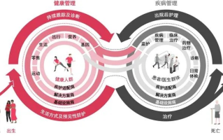搏动网络平台，重塑数字时代下的健康管理与医疗服务