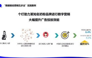 Dxwap广告联盟，打造高效广告投放，引领数字营销新风尚