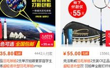 谁能帮我完成淘宝联盟引流？揭秘高效策略与实战技巧