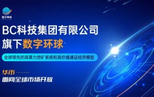广告联盟论坛，探索数字营销新纪元，共筑品牌新高度