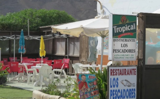 Los Pollos，从农场到餐桌的奇妙旅程