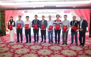 如何选择适合您的广告联盟，解析主流广告类型及联盟优势