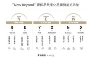 XT广告联盟，重塑数字营销新生态的领航者