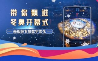 雪影广告联盟，打造精准营销，引领数字时代广告新风尚