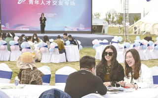 亚洲交友联盟，跨越文化界限，共筑友谊桥梁