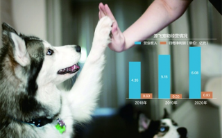 联盟猫，重塑宠物经济的未来