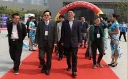 盛大广告联盟，打造高效广告投放平台，引领数字营销新潮流