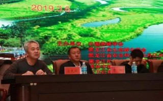 站长链流量联盟，构建互联网生态的共赢平台