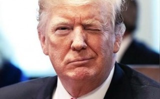 51广告联盟，打造高效广告投放，引领数字营销新风尚