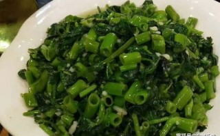 揭秘点击网赚，真相、风险与合法赚钱之道