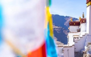 藏推移动，探索西藏文化推广的新路径