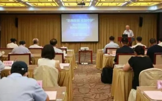 YY彩银联盟，揭秘网络赌博背后的灰色产业链