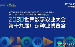 野鹿广告联盟，重塑数字营销新生态的先锋力量