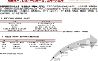 阿里联盟，重塑电商生态，引领数字商业新未来