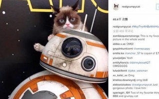 Ad LeMeow，重塑数字营销领域的喵革命