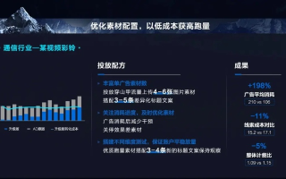 菠萝广告联盟，打造高效营销生态，引领数字广告新风尚