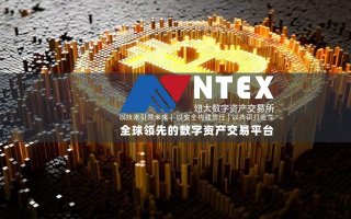 NBN交换链，重塑数字经济的未来