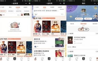 265交友联盟，打造多元化社交平台，拓宽社交圈，遇见更多志同道合的朋友