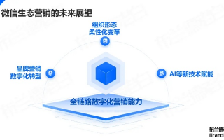 诚信广告联盟，重塑数字营销生态的基石