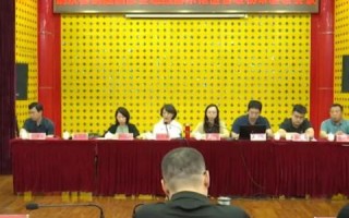 网络广告的类型，专家深度解析与充电指南