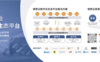 番茄广告联盟，重塑数字营销新生态