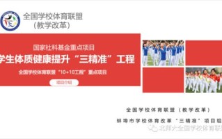 顺通广告联盟，打造高效精准广告投放的秘诀
