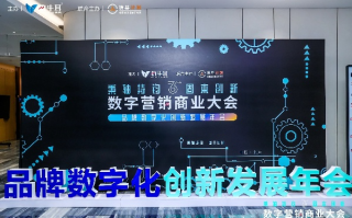 圣火广告联盟，点燃数字营销新纪元，引领品牌创新之路