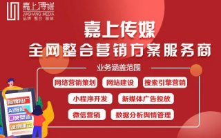 王者广告联盟，打造精准营销，引领未来广告趋势