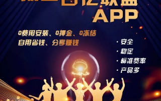 揭秘9991日付联盟，重塑支付行业的创新力量