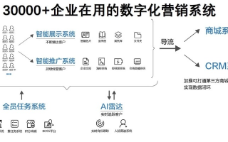 精准联盟，小明如何引领数字化时代的精准营销