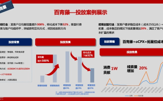 智能手机网络广告形式探索，在百度的广告投放策略