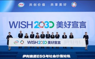 司令联盟，重塑战略格局的领导力革命