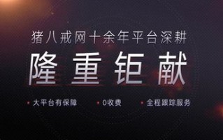 揭秘百分百广告联盟，打造高效广告投放的秘诀