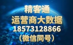 萦绕广告联盟，重塑数字营销生态的革新力量