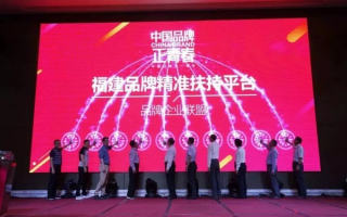 中闽广告联盟，重塑数字营销新生态，引领企业品牌新高度