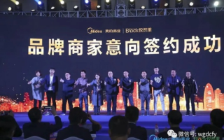 金鲨联盟，重塑商业版图的力量