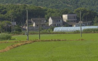 三拐村广告联盟，乡村振兴的新引擎