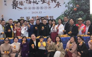 聚缘广告联盟，打造精准营销，携手共创共赢未来