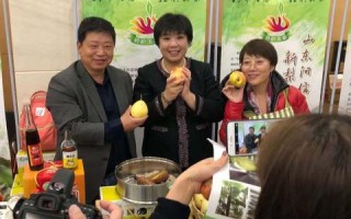 优联盟，携手共创未来，共赢商业新生态