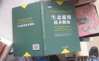 如何利用流量广告联盟赚钱，全面指南与实战策略