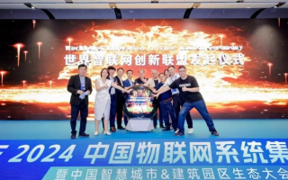 蚁巢移动联盟，探索自然界的智慧协作与生态奥秘