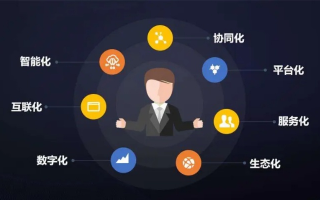 飞狐数据，揭秘大数据时代的智能决策引擎