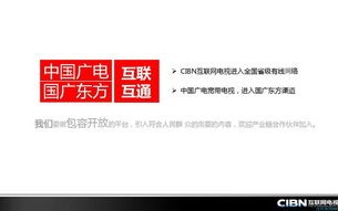 奇虎联盟，重塑互联网安全生态的先锋力量